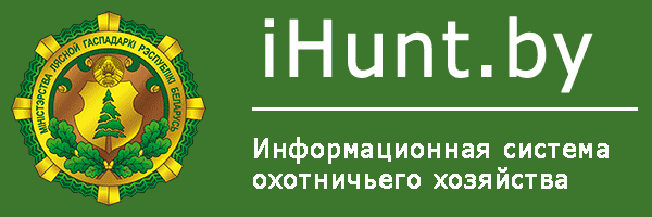 iHunt.by