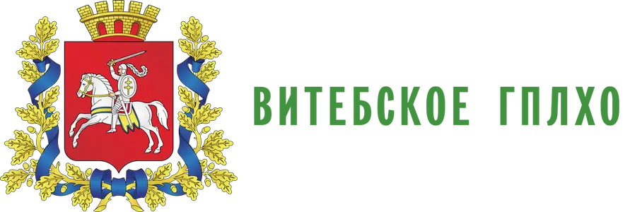 Сайт Віцебскага дзяржаўнага вытворчага лесагаспадарчага аб'яднання