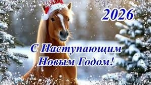 _viber_2025-12-31_09-17-11-958