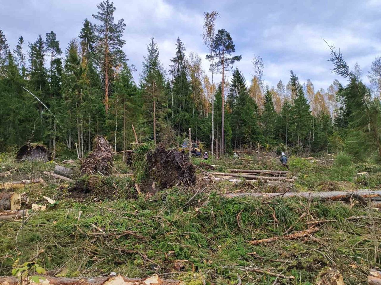 photo_2023-10-18_17-21-58