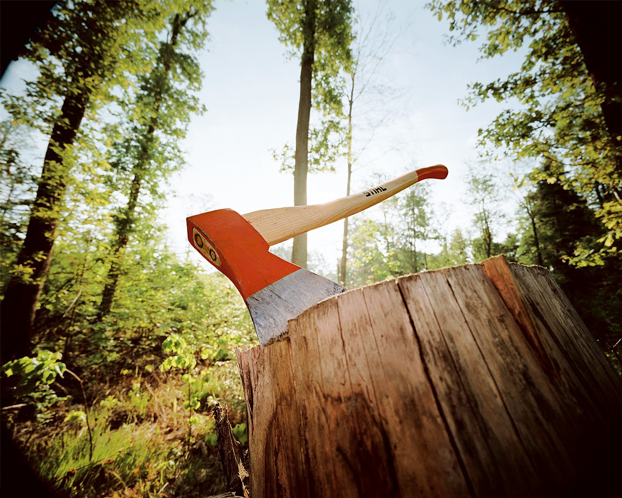 7f50bfd9-22ba-44a9-9224-785c239c9847