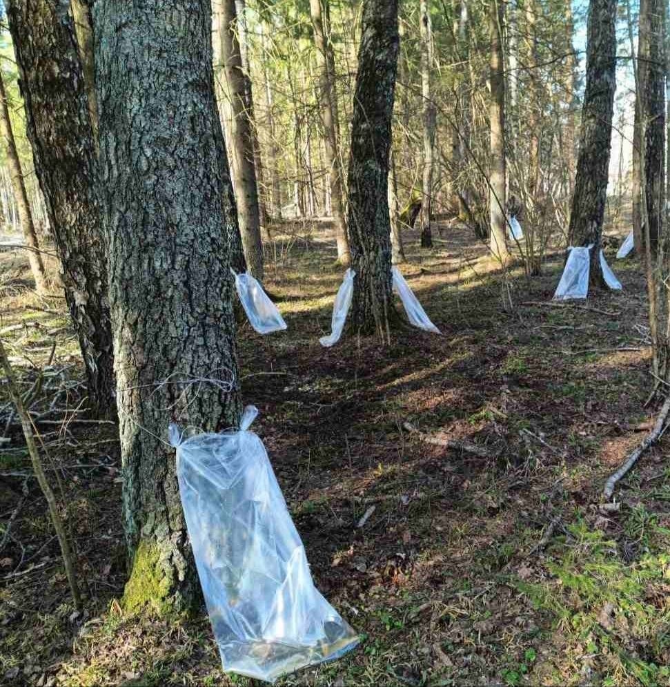 photo_2026-03-24_16-03-24