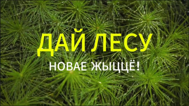 Акция 
