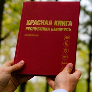 Красная книга Республики Беларусь - животные