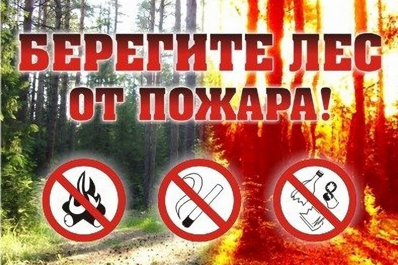 О запрете на посещение лесов в Лепельском и Чашникском районах