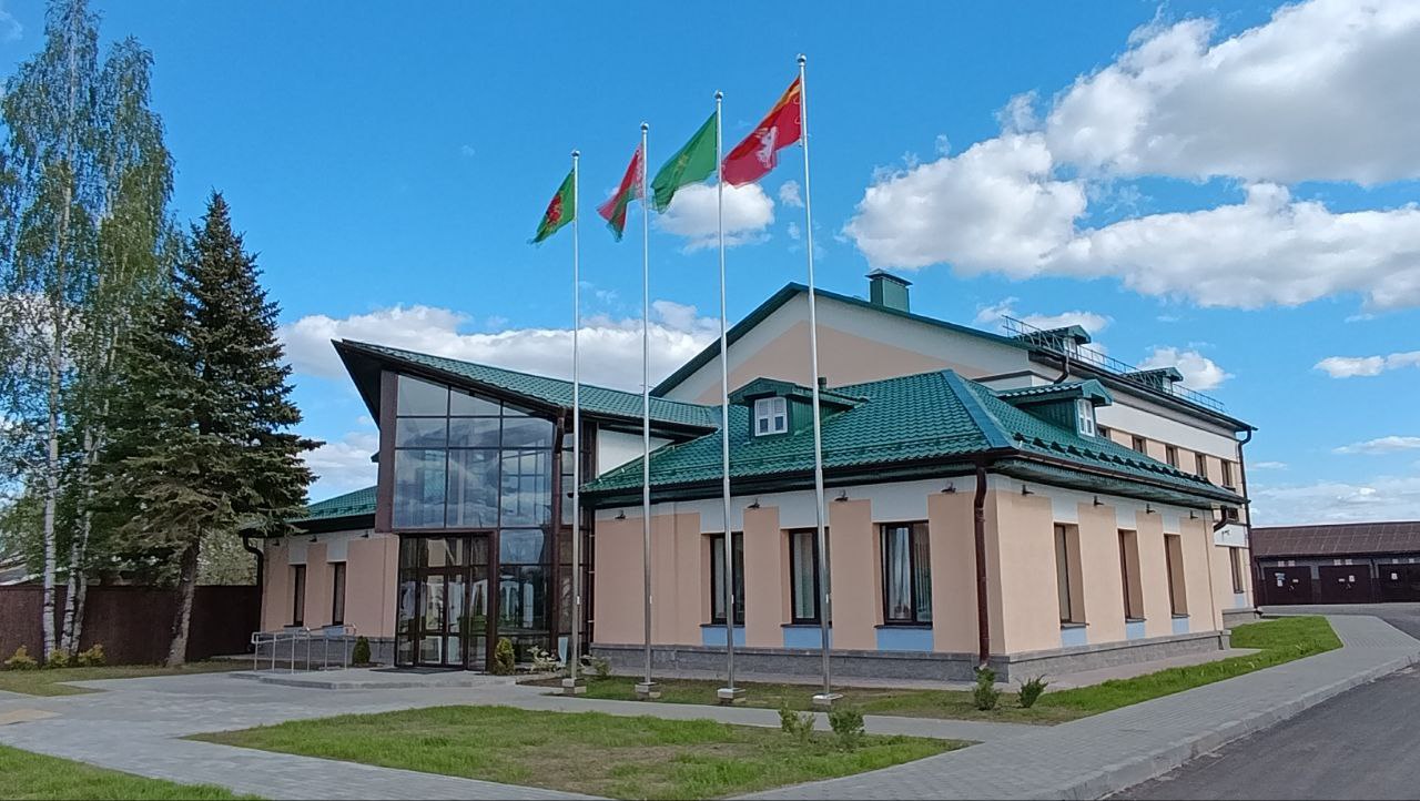 photo 5312146226529038974 y