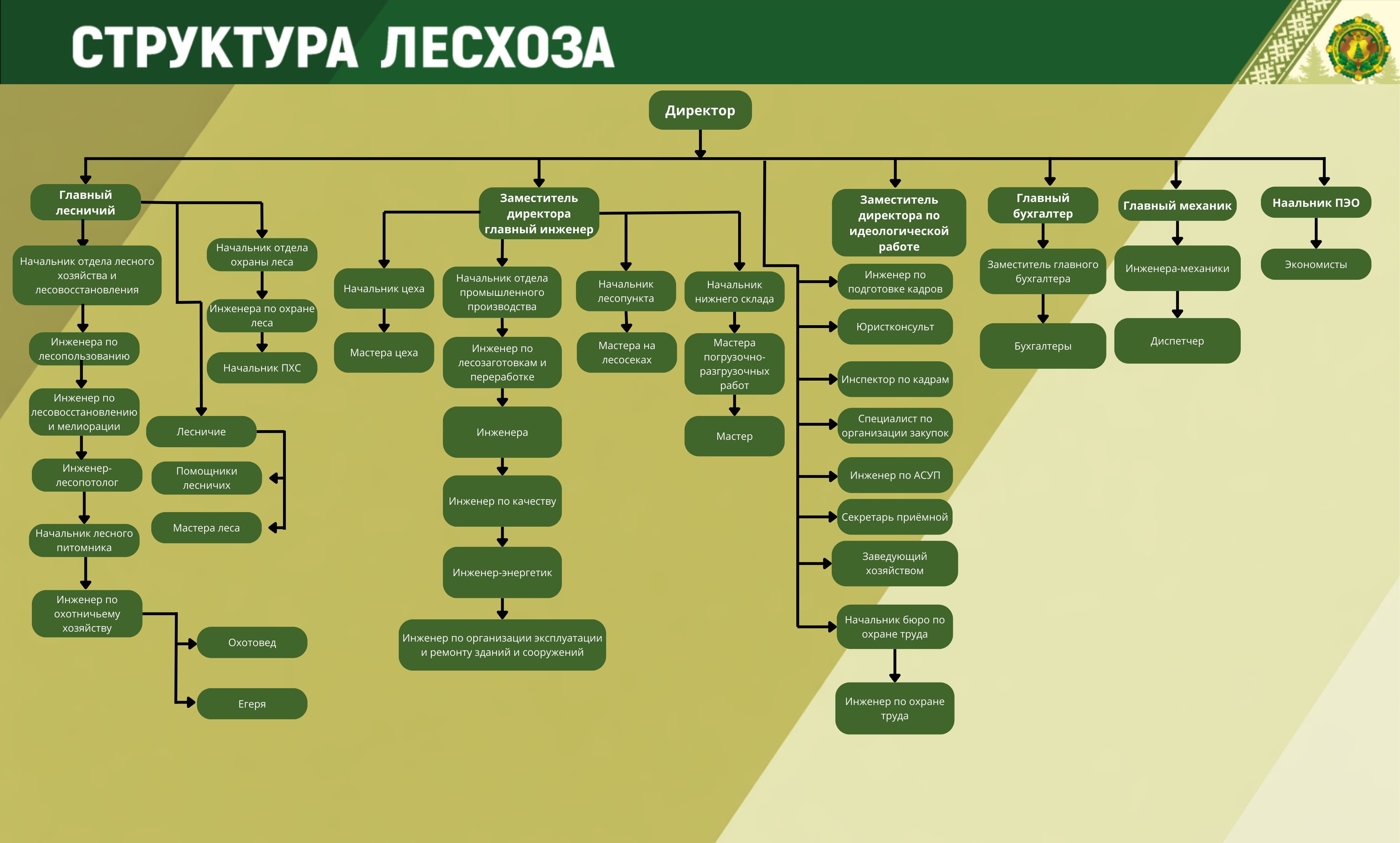 structura